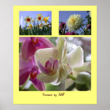 Flores por el collage de la foto de AAP Impresiones