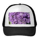 Flores púrpuras Bush Gorro