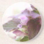 Flores púrpuras de Deadnettle Posavasos Cerveza