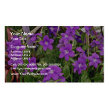 Flores púrpuras de las flores plantilla de tarjeta personal