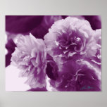 Flores púrpuras en una impresión fotográfica de la impresiones