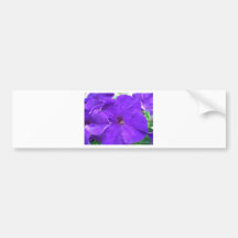 Flores púrpuras etiqueta de parachoque