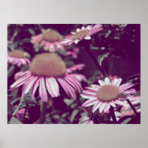 Flores púrpuras grandes posters
