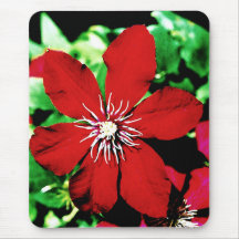 Flores que suben del Clematis rojo Tapetes De Raton