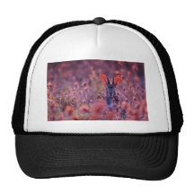 Flores retroiluminadas del rosa del conejo de rabo gorros bordados