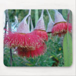 Flores rojas de Gumnuts Alfombrillas De Ratón
