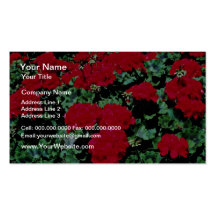 Flores rojas de las flores plantillas de tarjetas de visita