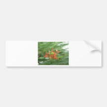 Flores rojas del árbol etiqueta de parachoque