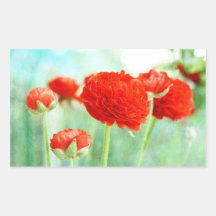 Flores rojas del ranúnculo rectangular pegatinas