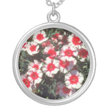 Flores rojas del rosa de China (clavel Chinensis) Joyerías