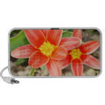 Flores rojas iPod altavoz