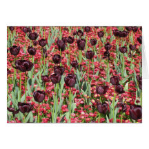 Flores rojas y tulipanes oscuros felicitaciones