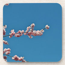 Flores rosadas contra el cielo azul posavasos