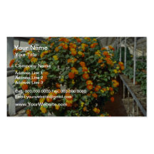 Flores rosadas de Camara del Lantana (sabio amaril Plantillas De Tarjetas De Visita