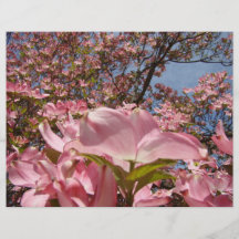 Flores rosadas de encargo del Dogwood del papel ro Tarjetas Informativas