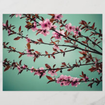 Flores rosadas de la primavera tarjetas informativas