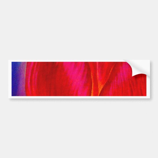 Flores rosadas de los tulipanes que pintan arte -  etiqueta de parachoque