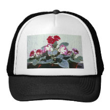Flores rosadas de Speciosa del Sinningia (Gloxinia Gorro De Camionero