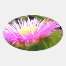 Flores rosadas en Bermudas Colcomanias Oval Personalizadas