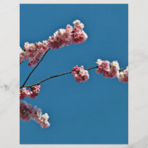 Flores rosadas minúsculas contra el cielo azul tarjetas informativas