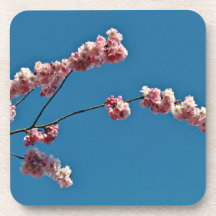 Flores rosadas minúsculas contra el cielo azul posavasos