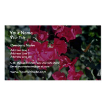 Flores rosadas rojizas de las flores plantillas de tarjetas personales
