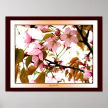 Flores rosados, hojas, y poster rígido de la luz 2