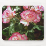 Flores salvajes de los rosas tapetes de ratón