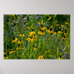 Flores salvajes impresiones