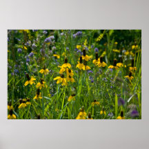 Flores salvajes impresiones