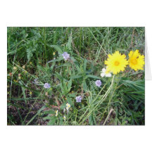 flores tarjetas
