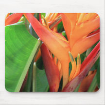 Flores tropicales brillantes de Heliconia Alfombrilla De Ratones