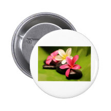 flores tropicales del plumeria en piedras pin