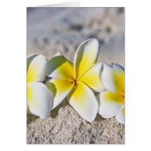 Flores tropicales felicitaciones
