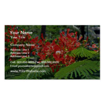 Flores tropicales rojas de las flores tarjeta personal