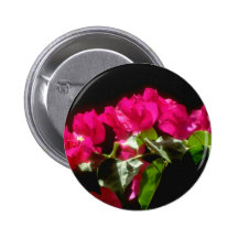 Flores tropicales rosadas, flores de Ocho Rios Pins