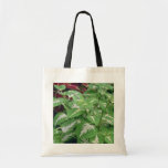 Flores verdes del coleo del jardín (coleo Hybridus Bolsas De Mano
