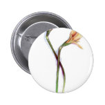 Flores: www.AriesArtist.com Pin