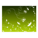 Flores y mariposas tarjetas postales