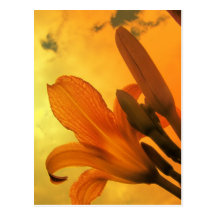 Flores y plantas tarjetas postales