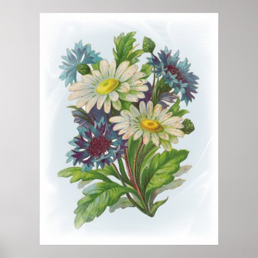 Flores y poster azules de las margaritas