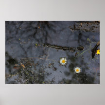 Flotación lejos del poster 3