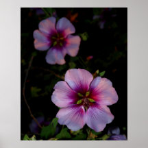 Flower power 2 poster