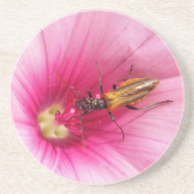 Flowerlife Untersetzer