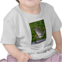 Flycatcher Grande-con cresta Camisetas