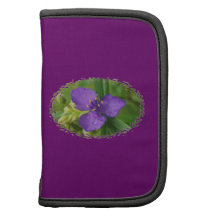 Folio púrpura de la flor del Spiderwort de Virgini Organizadores