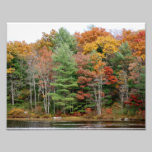 Follaje 10 x del otoño impresión fotográfica 8 fotografía