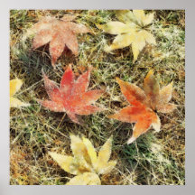 Follaje de otoño poster