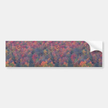 Follaje del otoño de un bosque de madera dura mezc pegatina de parachoque