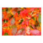 Follaje del otoño invitación